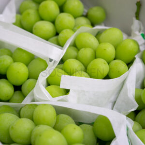 Shine Muscat Grapes from Nagano Prefecture, For Gift Giving, 2.2 lbs (1 kg), 2 or 3 Bunches