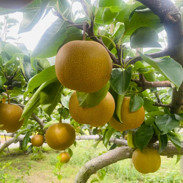 9DD01175-60A0-4C62-A0A2-C54FFF30BC09